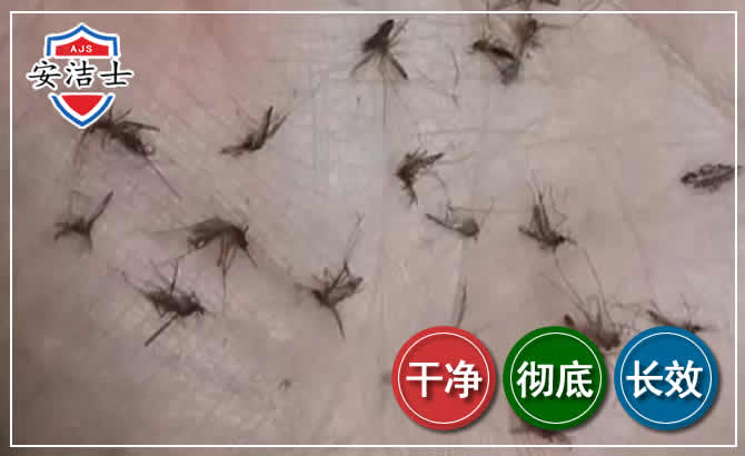 萧山区蚊子防治-灭蚊
