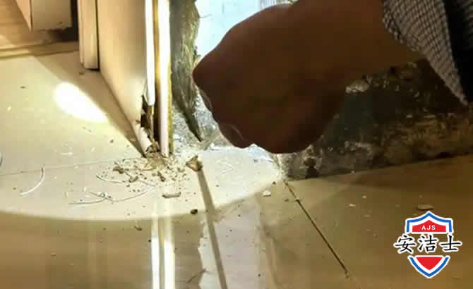 萧山区房屋建筑防治白蚁