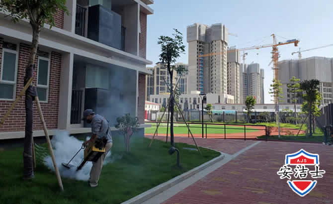 萧山区工厂工地除白蚁