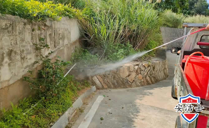萧山区道路堤坝白蚁防治