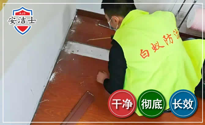 萧山区除四害现场