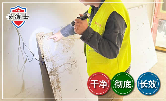 萧山区除白蚁现场